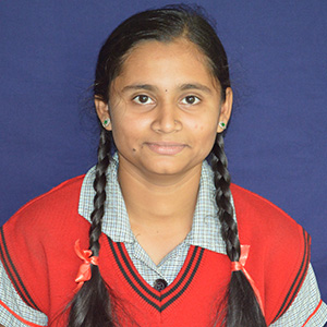 Miss. Snehal B. Shende